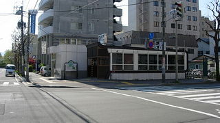 北大イチョウ並木へは