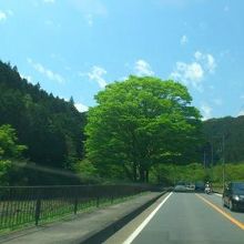 道中は天気良かったし自然いっぱいでキレイでした