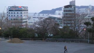 地元の人が犬の散歩に...