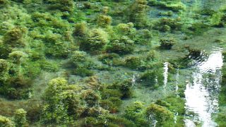 ドライブのお供においしい水を