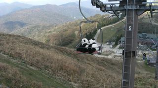 グリーンシーズンも、いろいろ利用できるスキー場