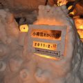 さっぽろ雪まつりのついでに