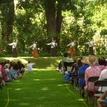 公園の木陰でイベントが行われていた。