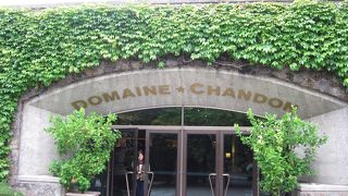 数あるワイナリーから選んだ Domaine Chandon