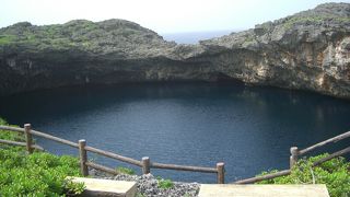 海水魚は泳ぐ池