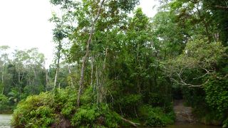 世界遺産の中の村