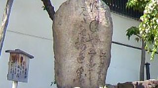 芭蕉句碑みてきました～