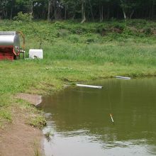 釣り堀。２匹ゲットしました