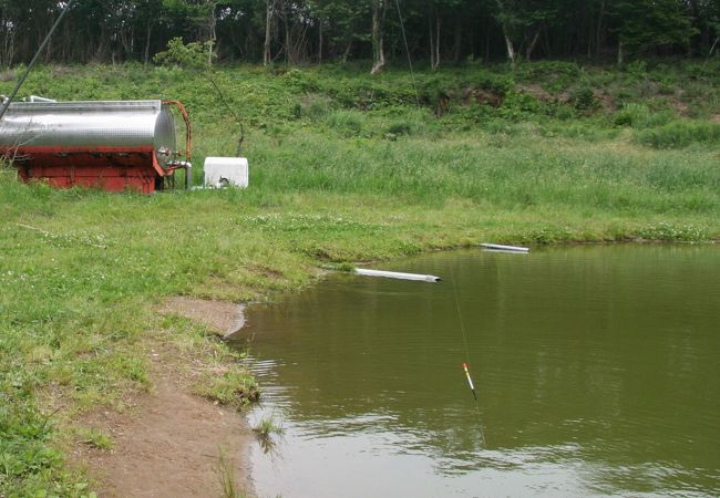 釣り堀。２匹ゲットしました