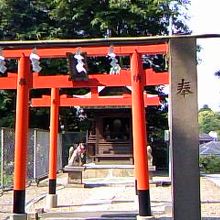 来て良かった〜