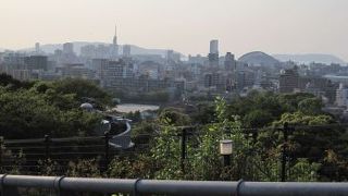 福岡の景色を堪能していただく食事