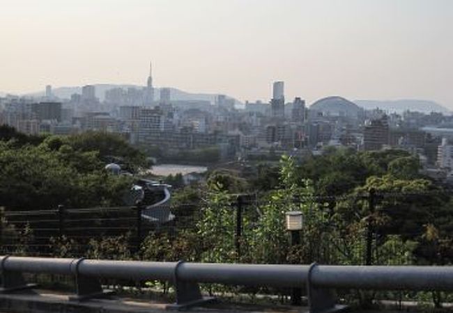 福岡の景色を堪能していただく食事
