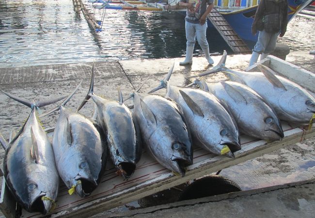 フィリピンの「マグロの首都」ジェンサン