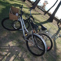 自転車のレンタルあり。