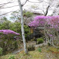 つつじの向こうに一軒家の客室