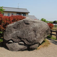 なんともユニークな石です