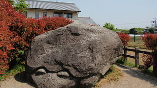 ユニークな大きな石