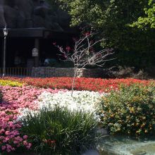 エプコット内の花壇