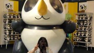 ガラパンの中心です・・・バスもここから