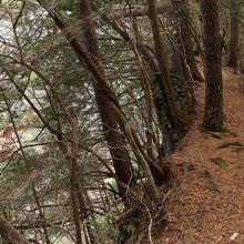 ハイキングコースからも戻れる