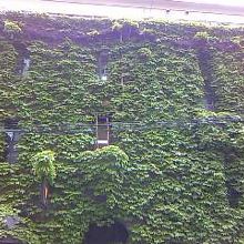 館内の見学は事前連絡が必要だよ