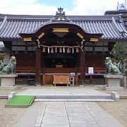 だんじりの格納庫が並んでいるよ野田恵美須神社