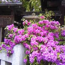 都会のオアシス！