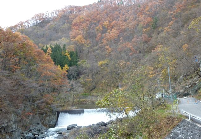 紅葉おわってしまった