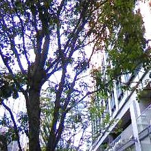 4周年のアニバーサリーをしていましたよ