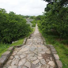 石畳がずっと続く。緑豊かな城跡。