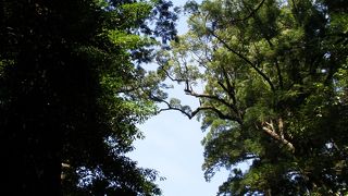 伊勢参りの中心