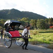 いなせなお兄さんの人力車