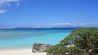 今まで見た中で一番綺麗だったかも