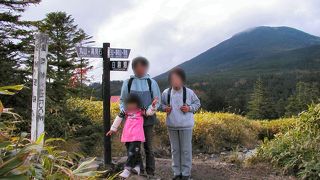 今回は歩いて見ました