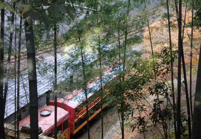 上から見たトロッコ列車