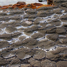 海辺を見下ろすと、千畳敷のような岩場が。