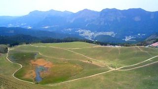 春の曽爾高原。意外なものを発見、そして。。。