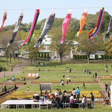 鯉のぼりイベント