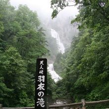 雨の滝も幻想的で良かったです。