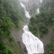 もう少し寄ってみました。足元は、ぐちゃぐちゃです。