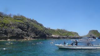 行く時期に注意