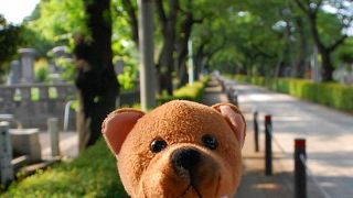 大きな霊園です。