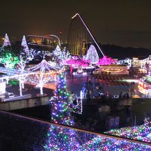 ぼけていますが、全体像