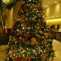 クリスマス時期　ロビーで大きなクリスマスツリーが出迎え