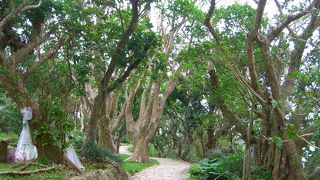 川平湾を望む整備された公園