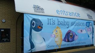 南極探検の疑似体験？ができる乗り物が面白い