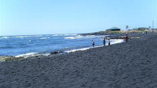 運が良いとウミガメの甲羅干しが見れる黒砂が美しい海岸