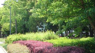 広大な敷地でほっこりできる「大阪市立長居植物園」