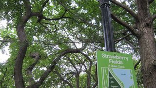 大都会にこんな自然が！