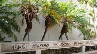 お財布やパスポートなど貴重品を手に持って入場します